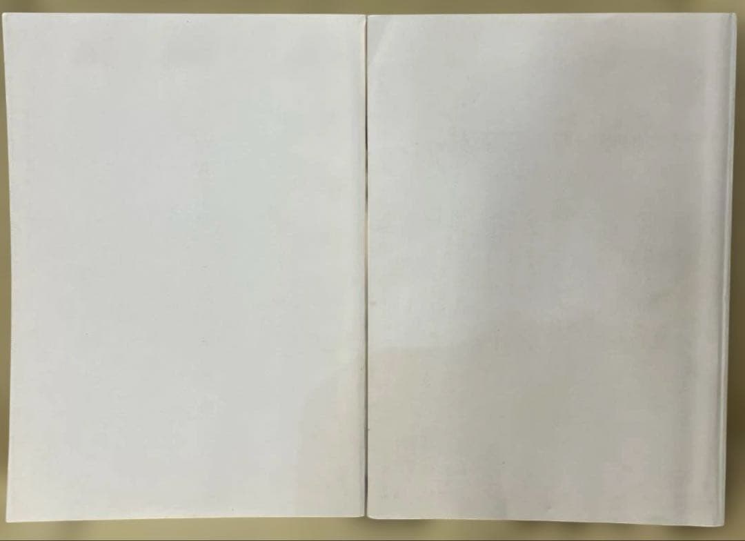 あ*ぱ様 史跡柳井茶臼山古墳 : 保存整備事業保存整備報告書と発掘調査報告書2冊
