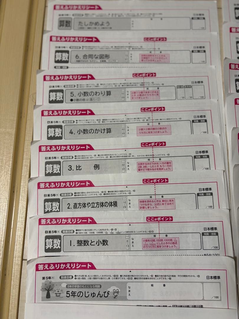 カラーテスト　5年生 東京書籍　日本標準