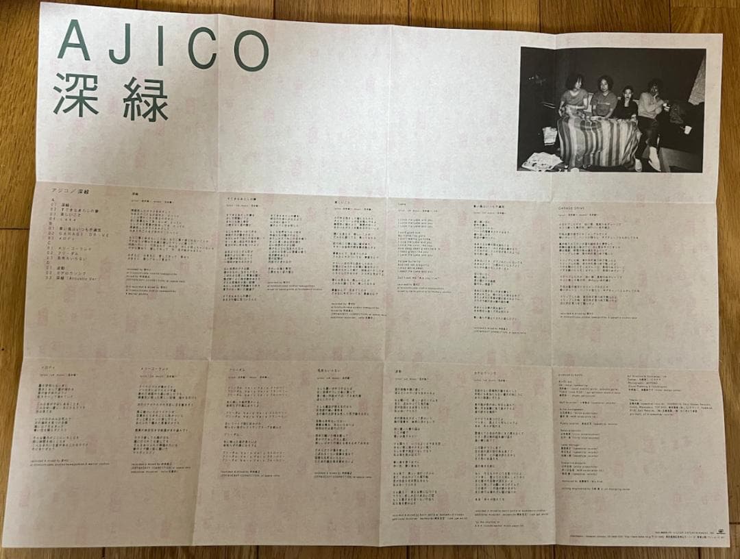 2LP AJICO 深緑