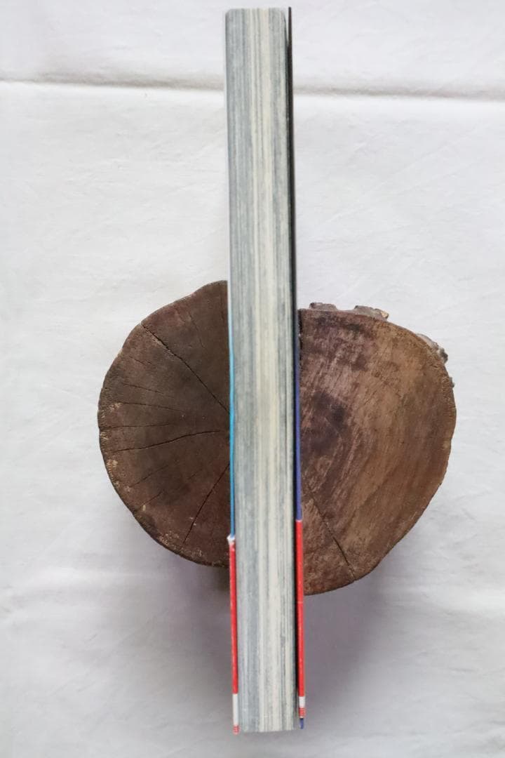 デビルメイクライ3 2巻のみ 茶屋町勝呂著　／code:2 ”Vergil”