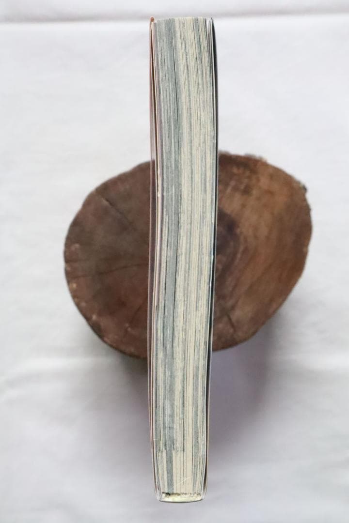 デビルメイクライ3 2巻のみ 茶屋町勝呂著　／code:2 ”Vergil”