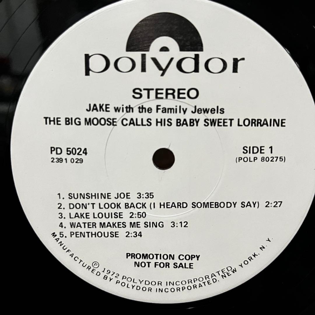洋楽 Jake with the Family Jewels US promo LP