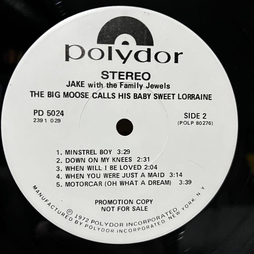 洋楽 Jake with the Family Jewels US promo LP