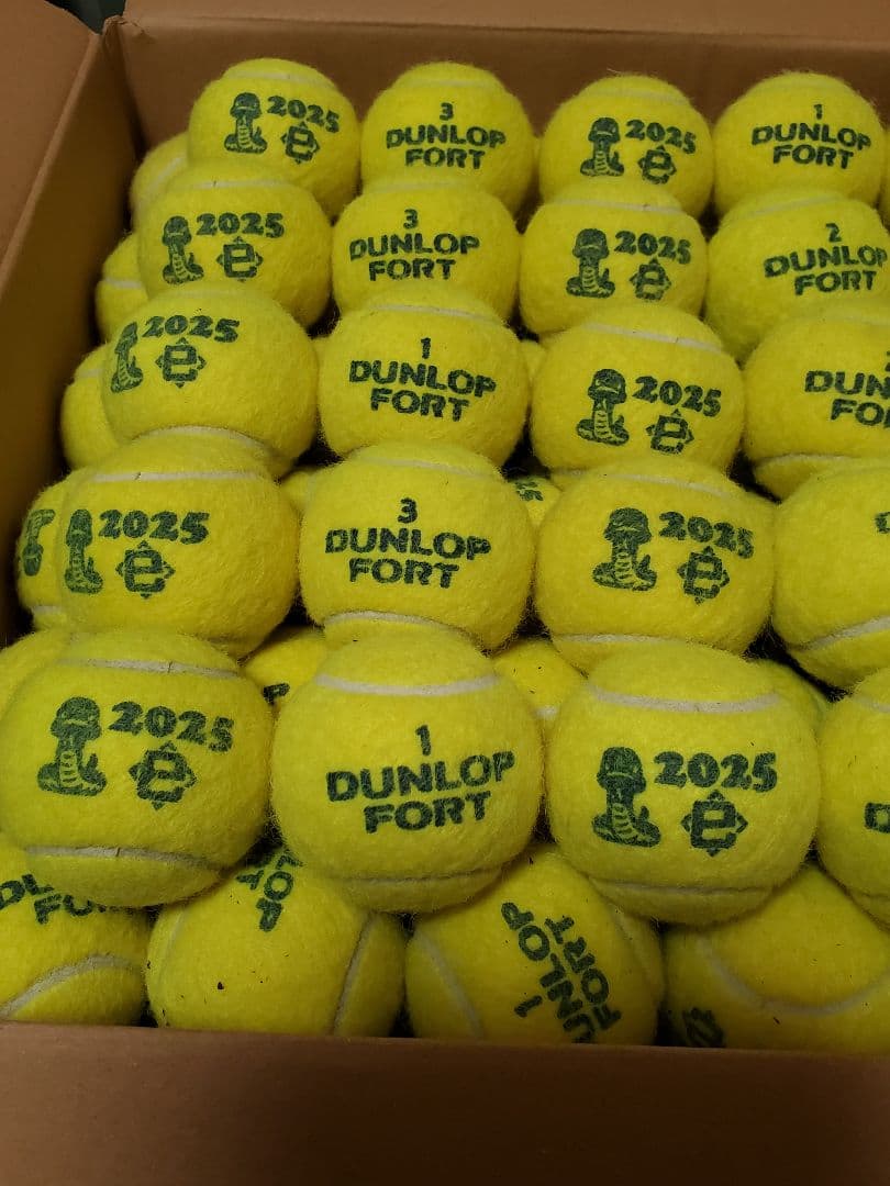 DUNLOP FORT テニスボール (中古品) 2025年干支ボール 114球