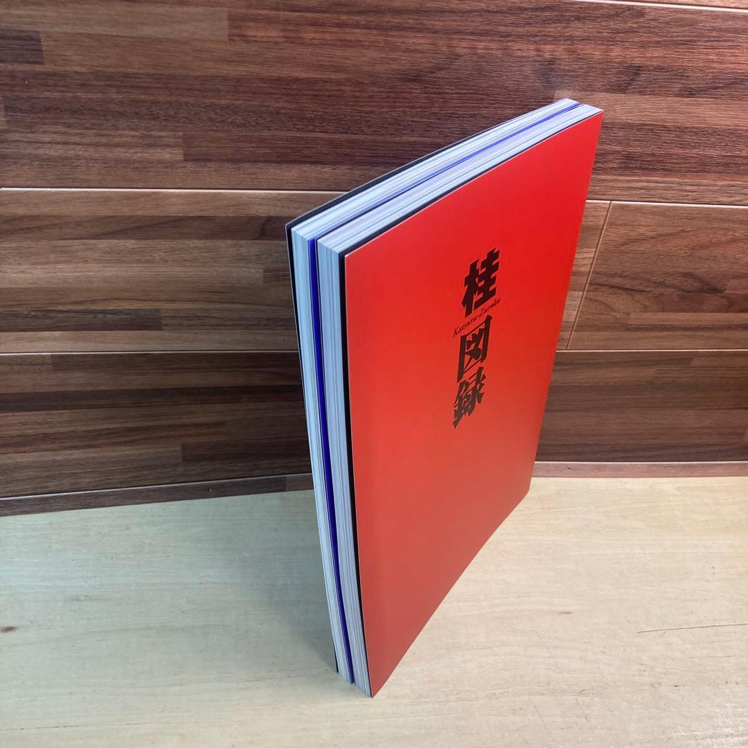 桂大全　桂正和画業30周年記念本