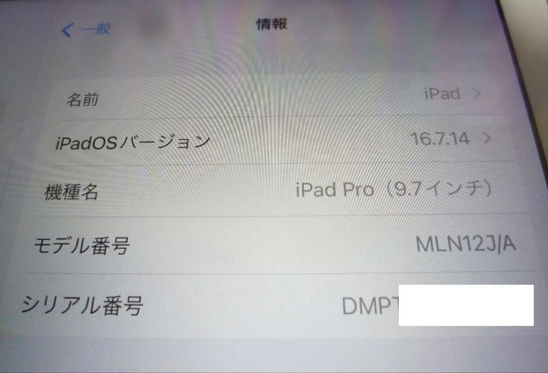 Apple iPad Pro 256GB本体 スマートカバー付き