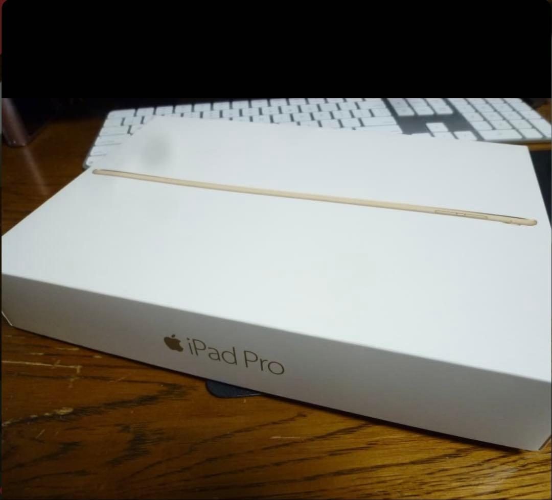Apple iPad Pro 256GB本体 スマートカバー付き