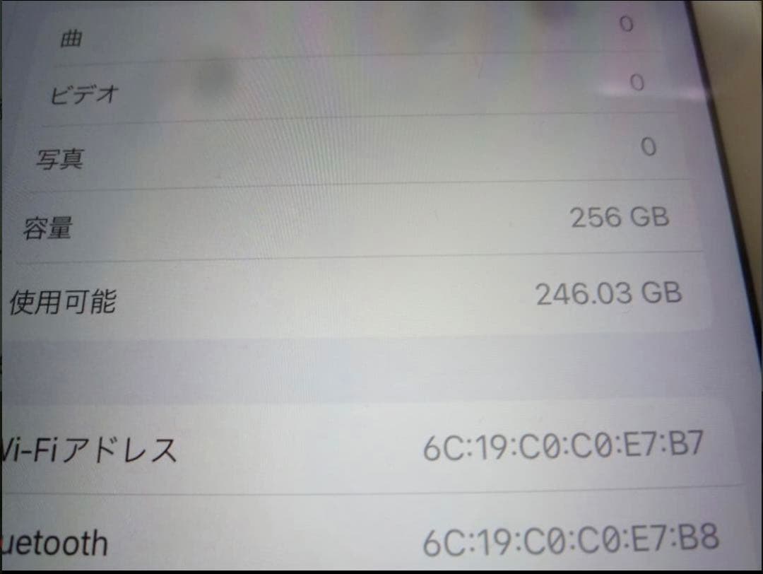 Apple iPad Pro 256GB本体 スマートカバー付き