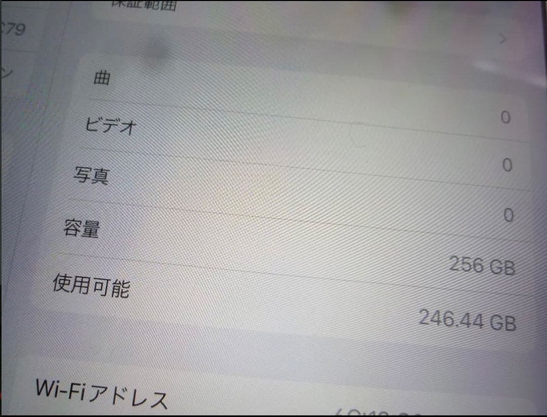 Apple iPad Pro 256GB本体 スマートカバー付き