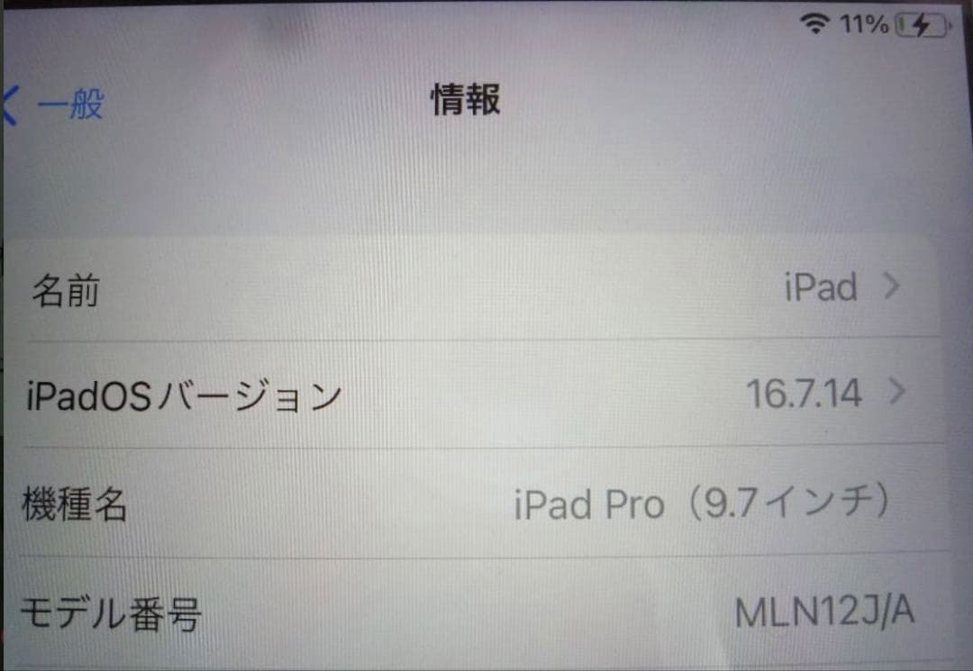 Apple iPad Pro 256GB本体 スマートカバー付き