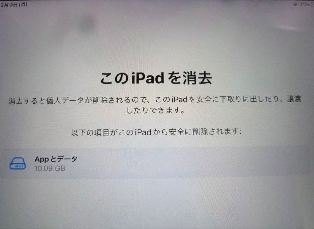 Apple iPad Pro 256GB本体 スマートカバー付き
