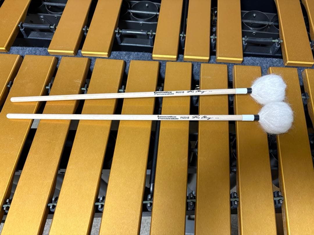 PIUS1B　Innovative Percussion パイアスモデル