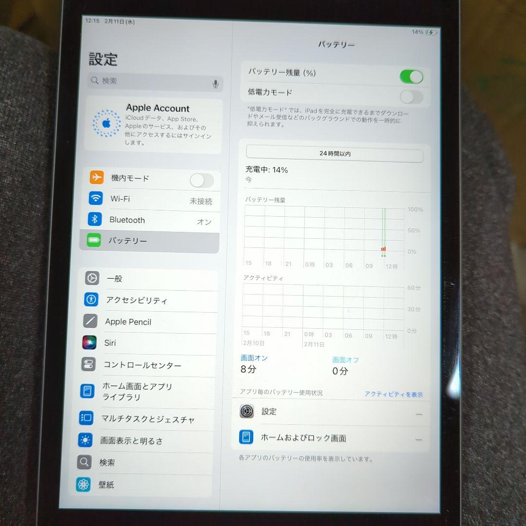 P*n様 Apple iPad mini(第５世代) Wi-Fi256GBスペー