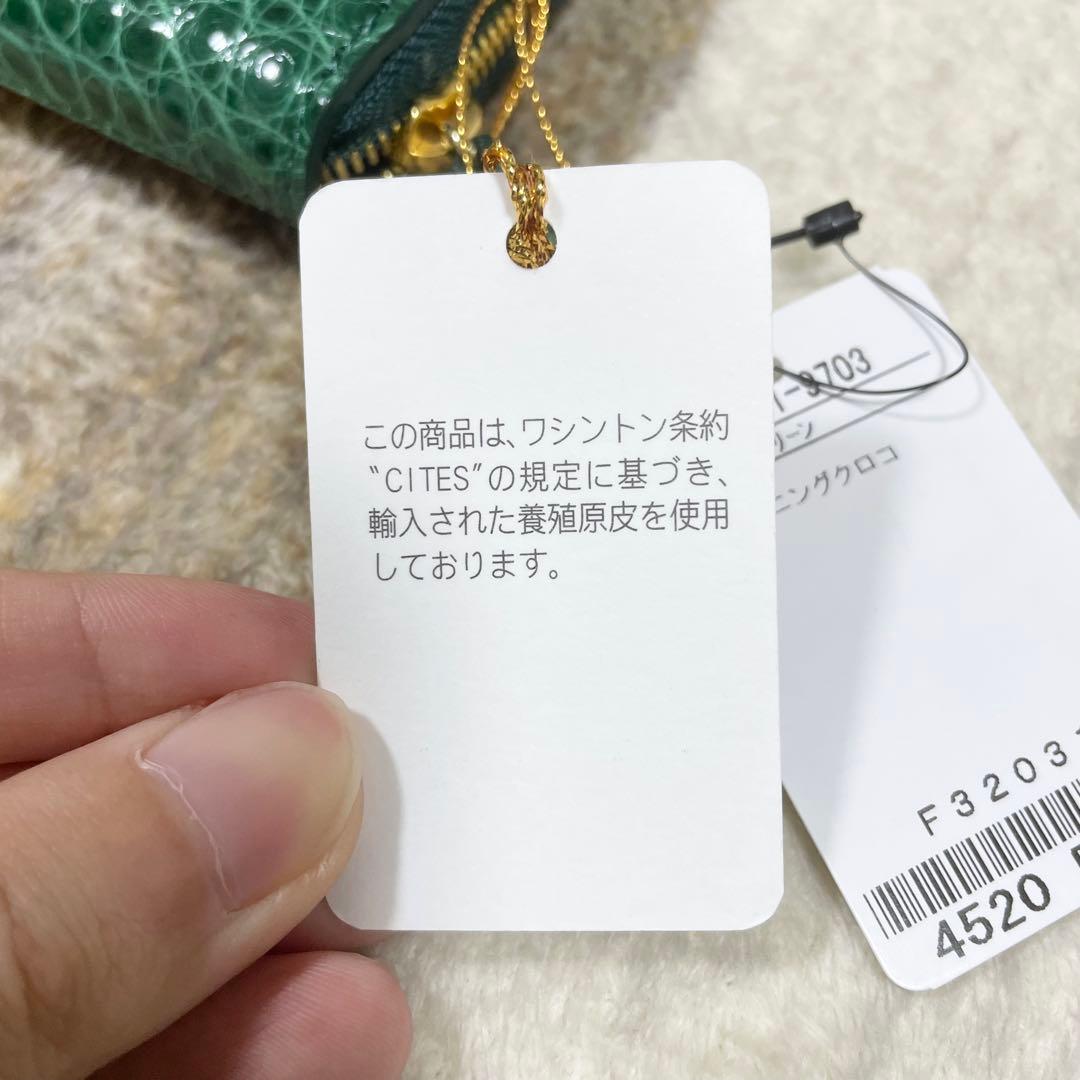 新品未使用品タグ付き　シャイニングクロコダイルグリーン　折り財布　ワニ革