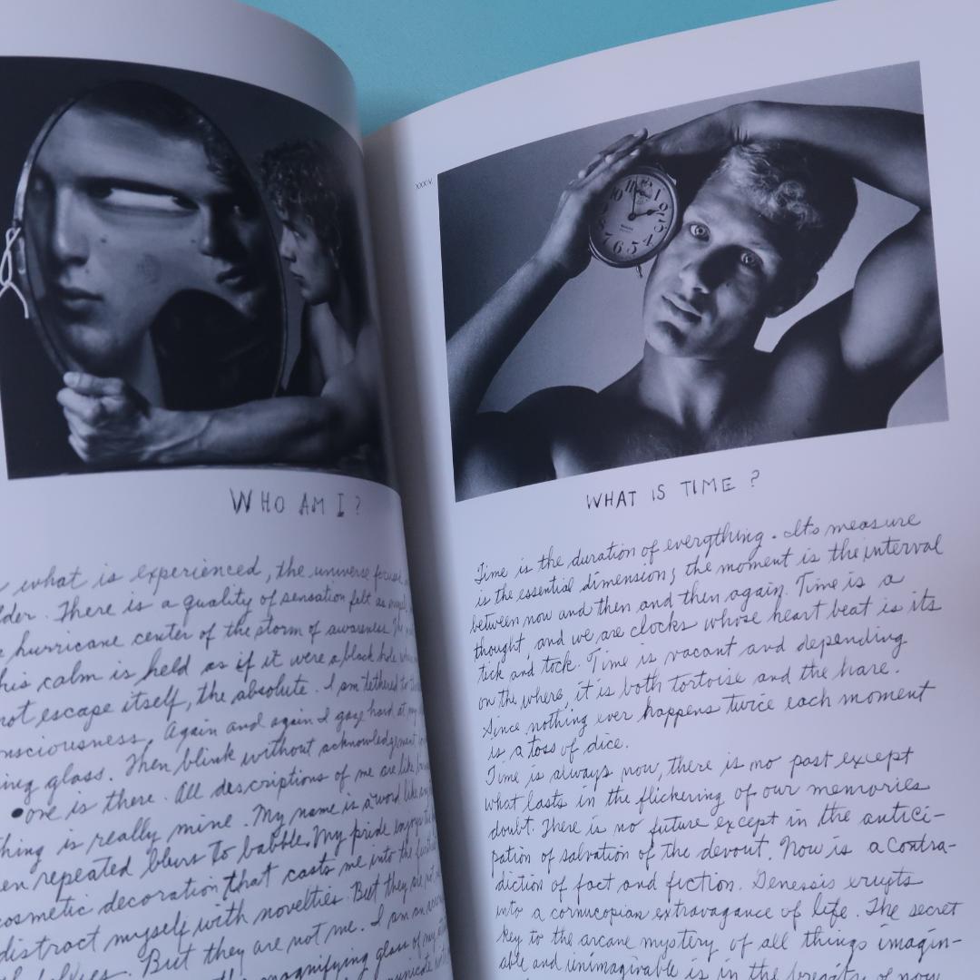 4月限定特価！希少洋書『デュアン・マイケルズ 写真展』図録 モントリオール美術館