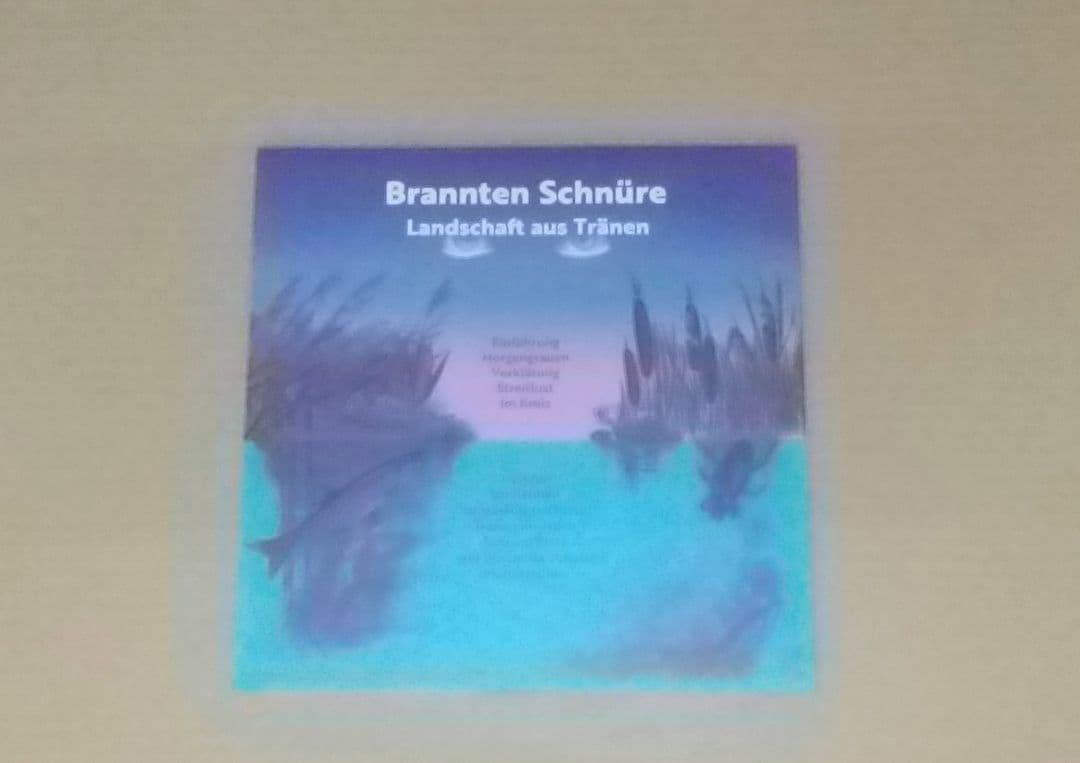 Brannten Schnure / Landschaft aus Tränen