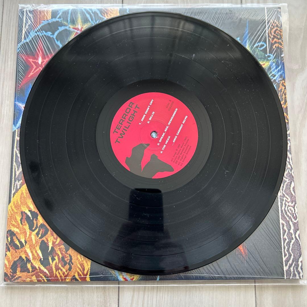 Pavement Terror Twilight レコード