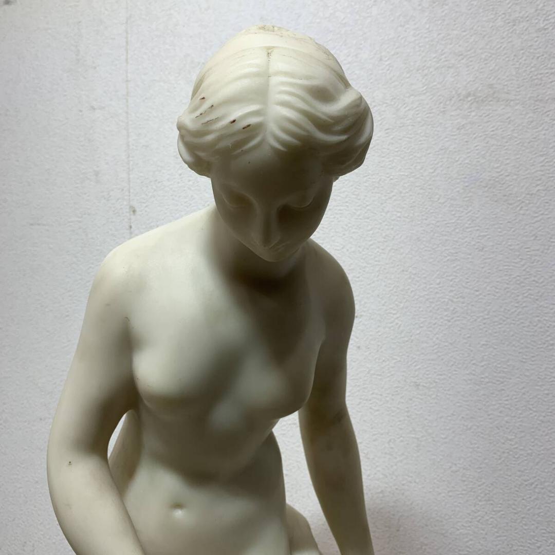大理石調 　彫刻　水浴する女　ルーブル美術館　　ヴィーナス像 　ＸＺ3943