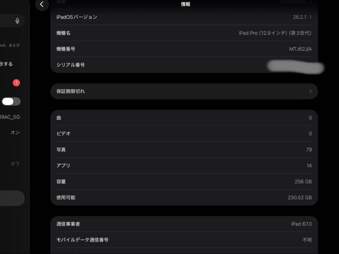 【極美品】 iPad Pro 12.9 第3世代 Cellular 256GB