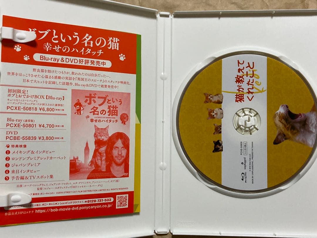 猫が教えてくれたこと('16トルコ)　Blu-ray　ブルーレイ