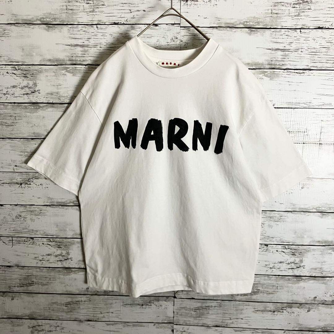 MARNI センターロゴプリント Tシャツ 肉厚生地 36