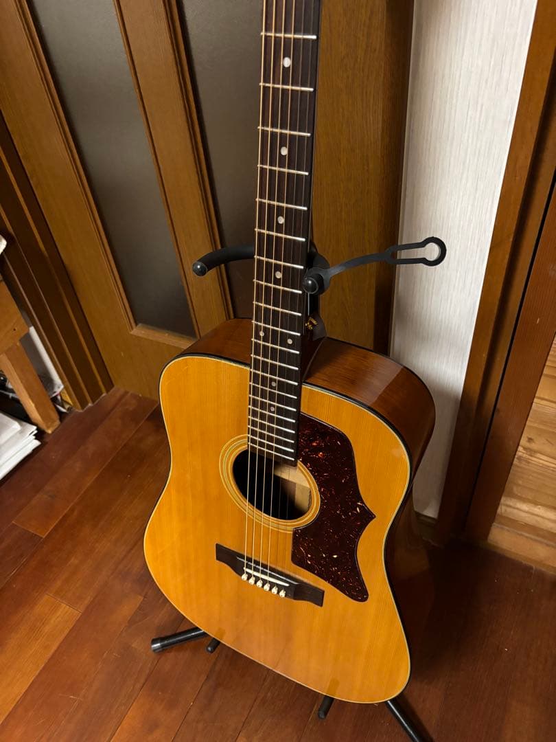 Jeison Standard No.180 美品　 弦高低めで弾きやすい❗️