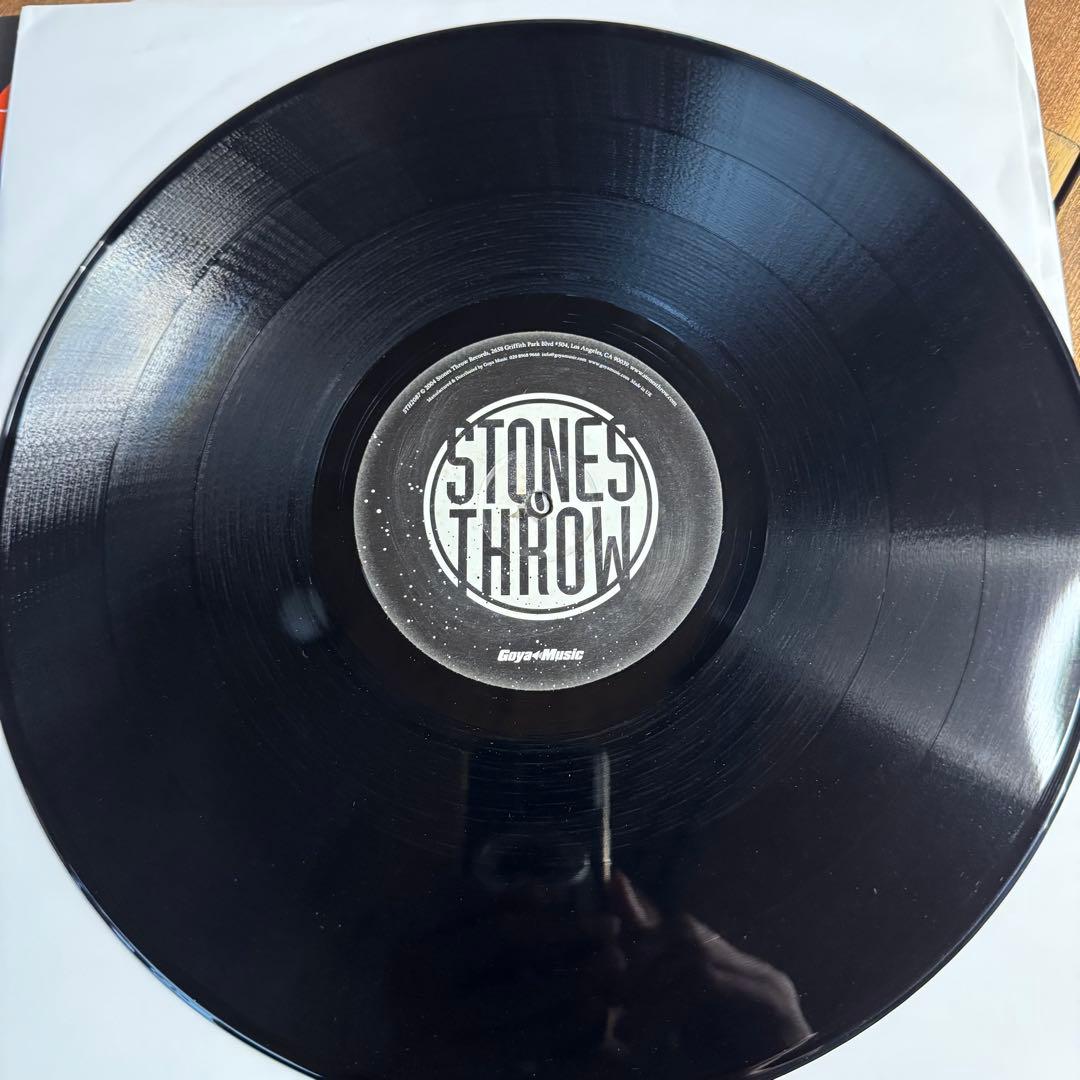 MADLIB DJ Rels –Theme For A Broken Soul