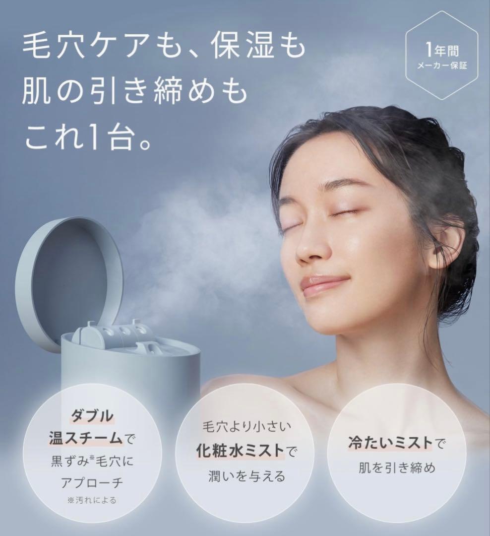 SALONIA(サロニア) ピュアブライト 美顔器 フェイススチーマー グレー