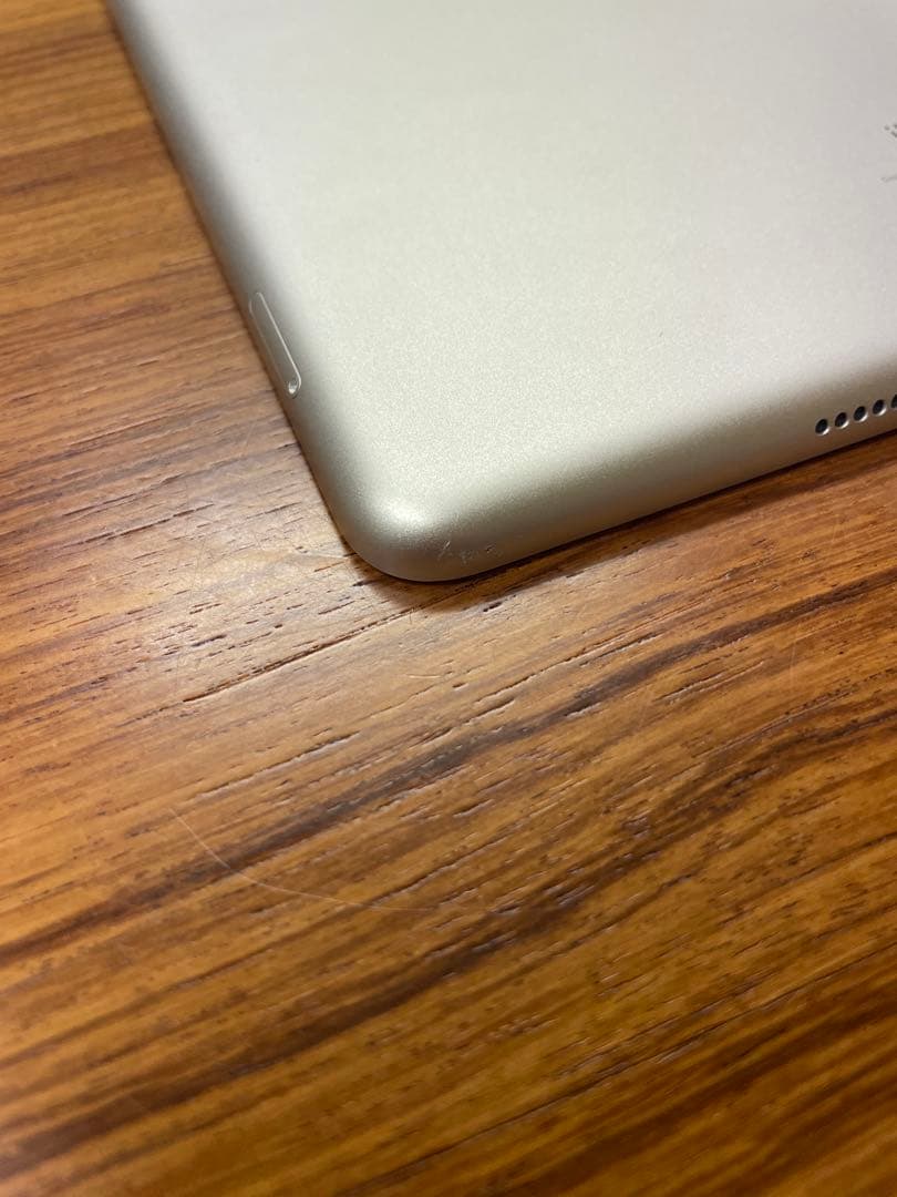 iPad 第9世代 256GB セルラーモデル シルバー