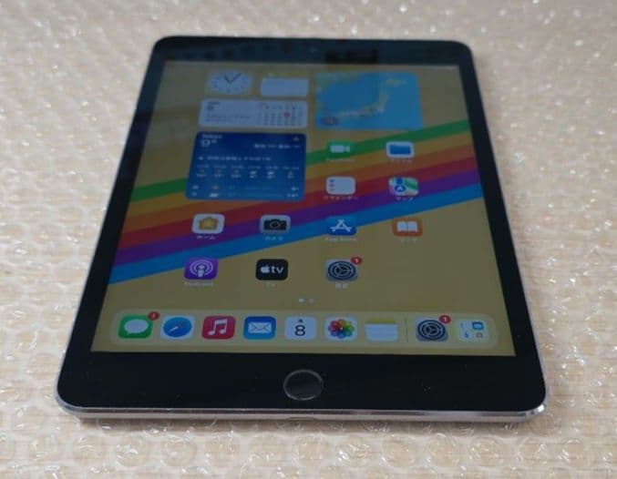 た*ぅ様 iPad mini 4◼️128GB◼️セルラー版◼️バッテリー良品◼