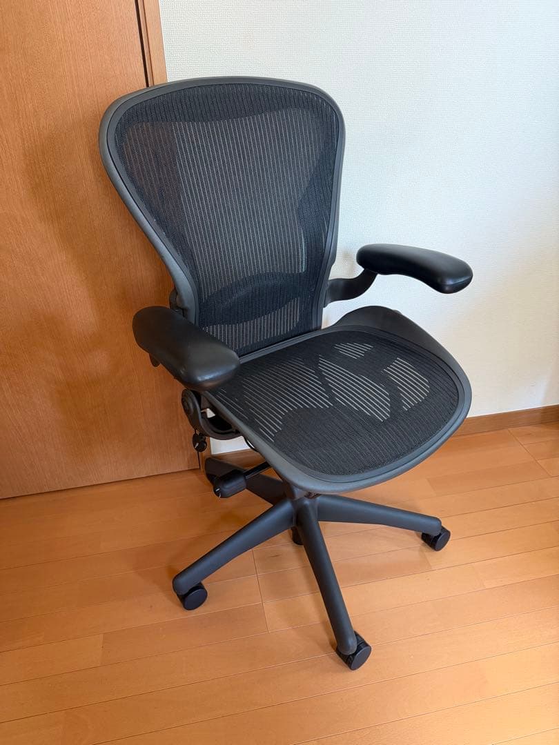 Herman Miller アーロンチェア　ランバーサポート　Bタイプ