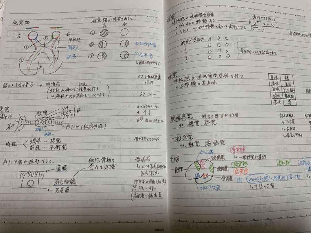 【KALS医学部学士編入2020】模試4回分＋おまけ付き