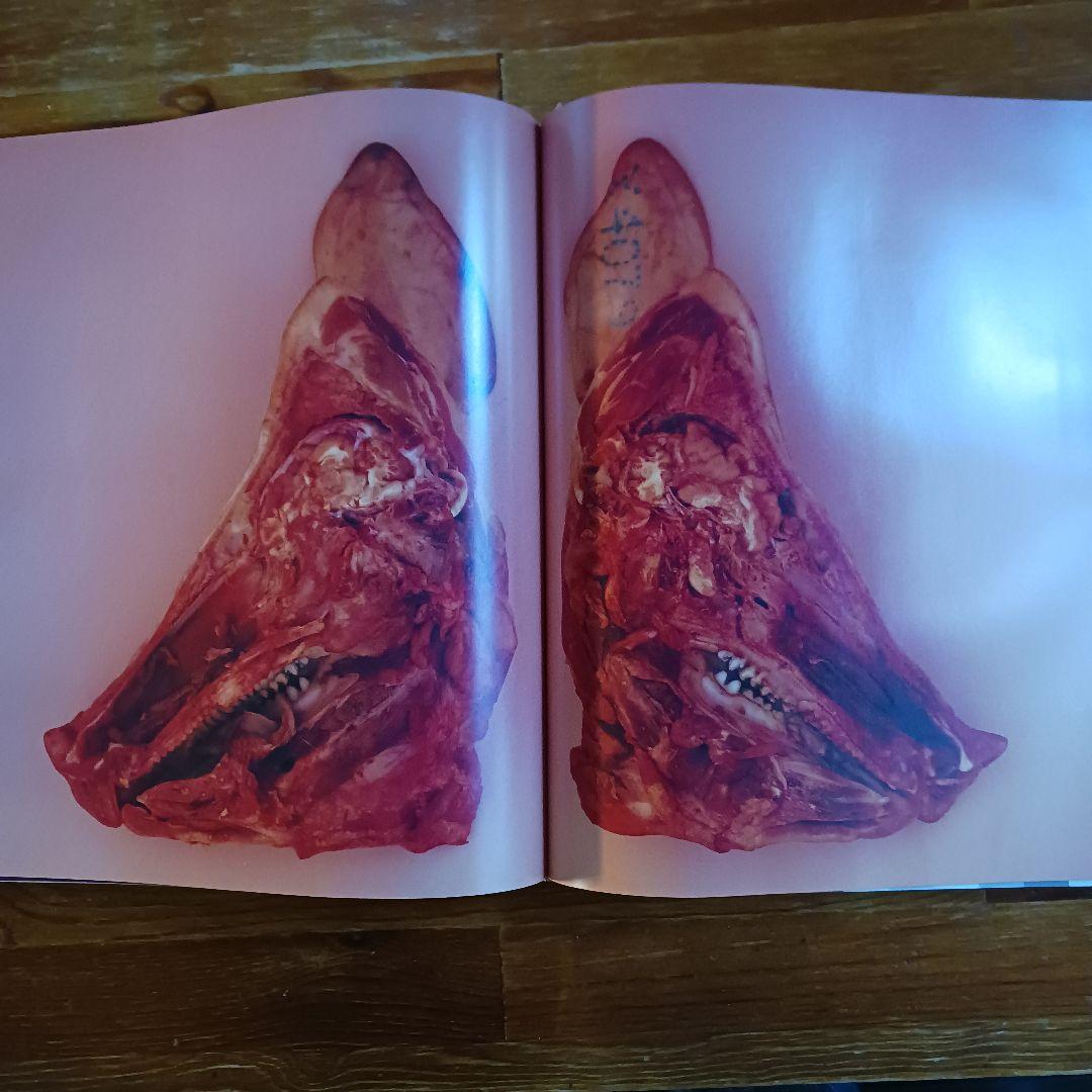 アート・デザイン・音楽 Damien Hirst