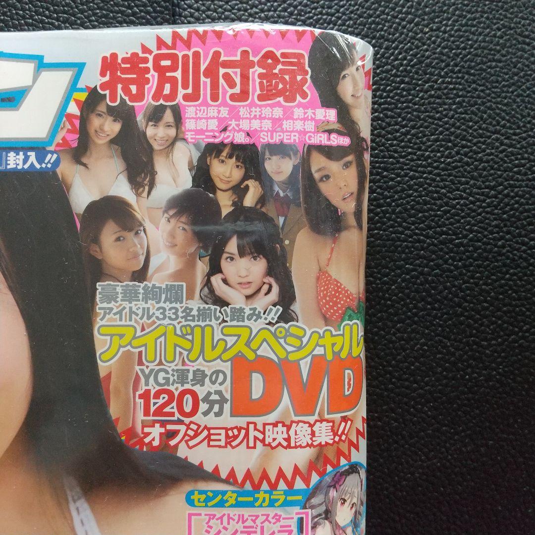 ヤングガンガン 2013年7号※星名美津紀グラビア※市川美織 藤原令子 松井玲奈