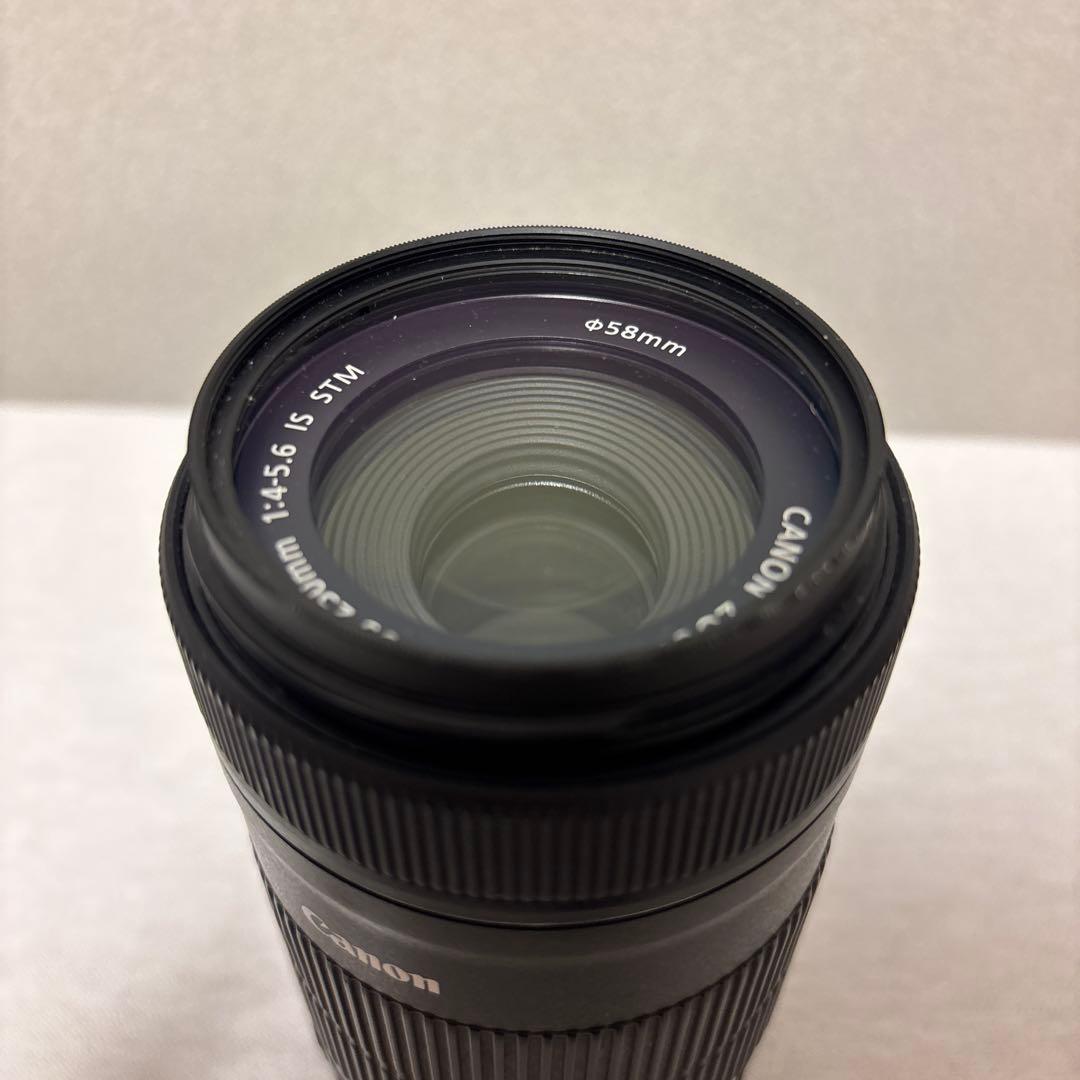 Canon EF-S 55-250mm / スピードライトEL-100