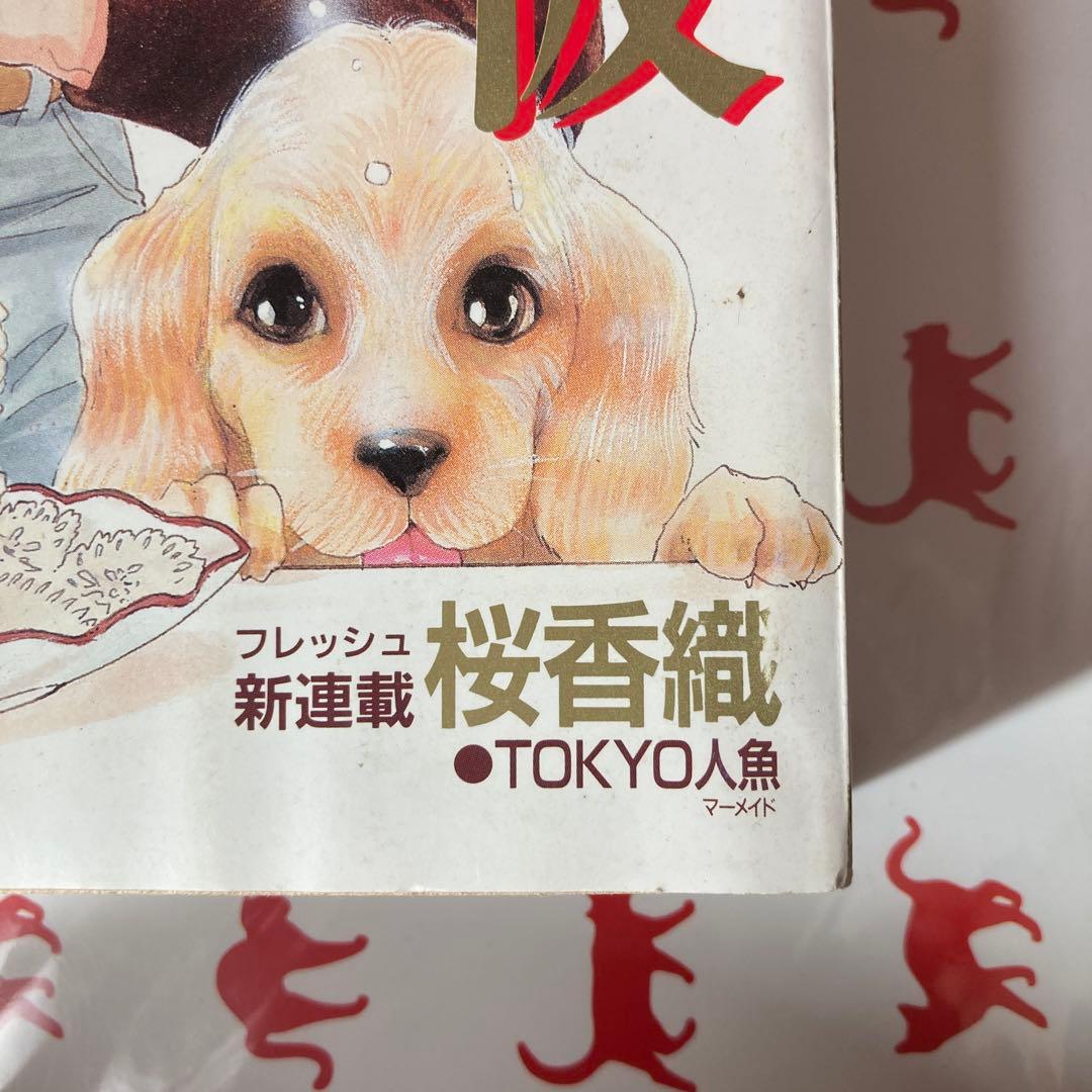 プチコミック 2月号 1996年 さいとうちほ　花音　秋里和国本誌初登場