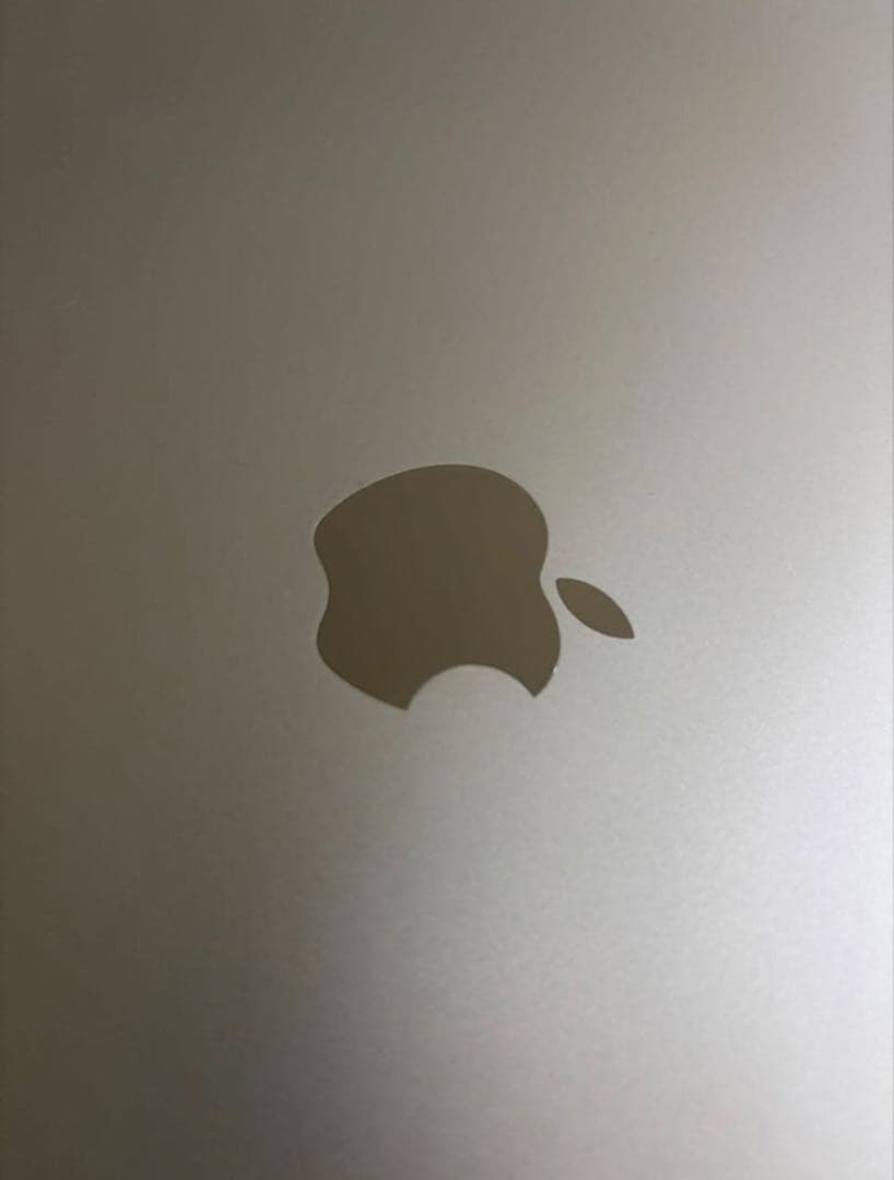 【極美品】M1 iPad Pro 12.9 第5世代 256GB WiFiモデル