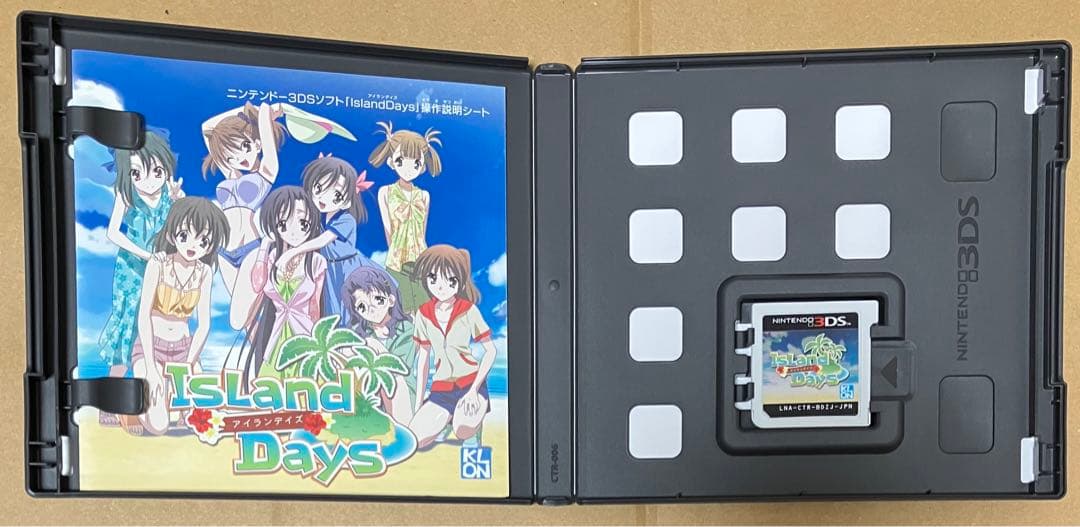 Days アイランデイズ 3DS 動作確認済