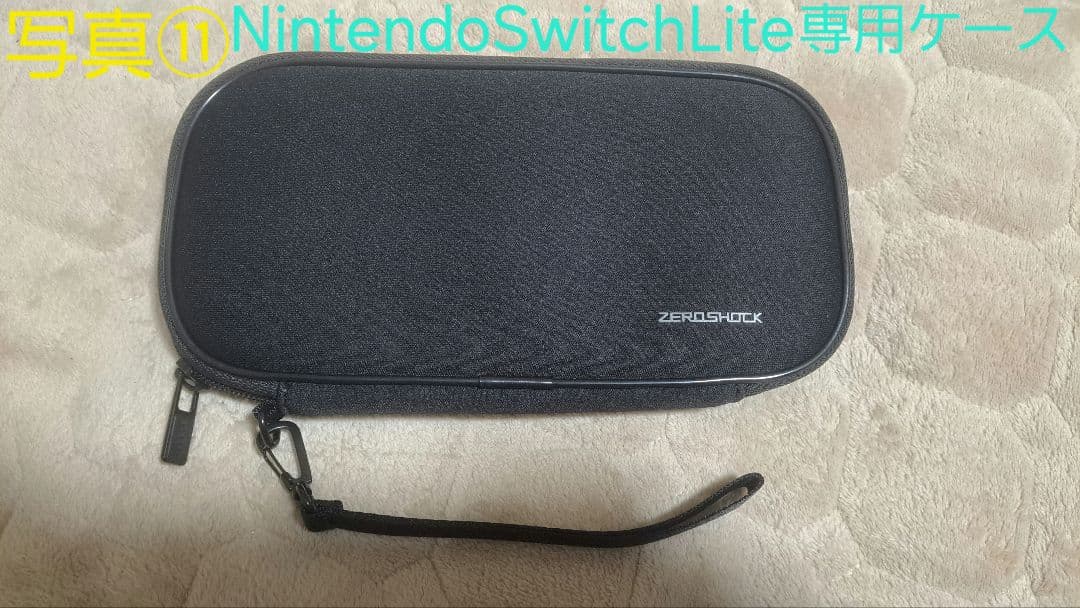 Nintendo Switch Lite ターコイズ 本体+おまけ多数有