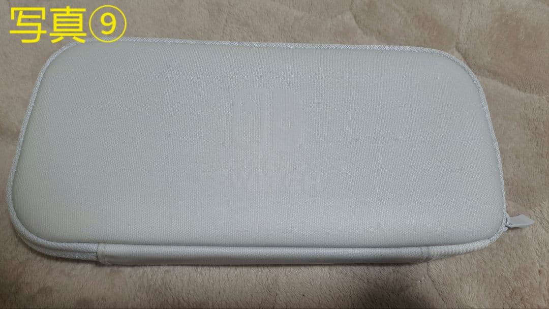 Nintendo Switch Lite ターコイズ 本体+おまけ多数有