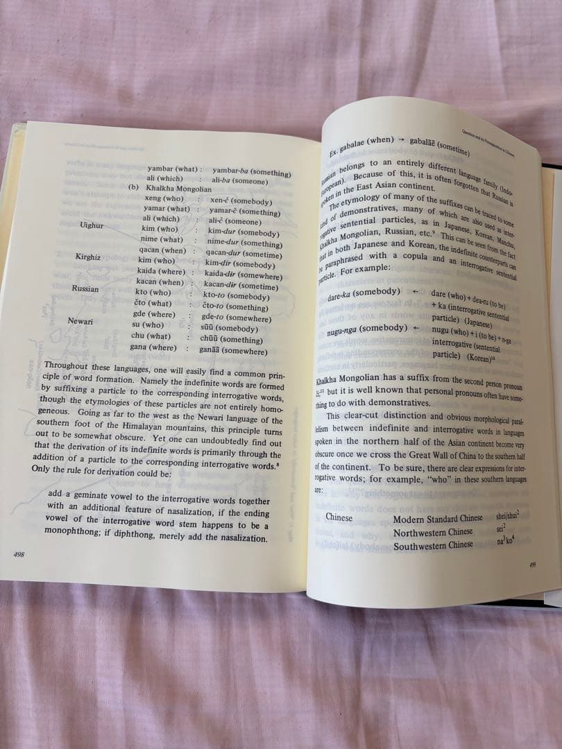 橋本萬太郎著作集　第一巻　言語類型地理論・文法　(内山書店) 希少本