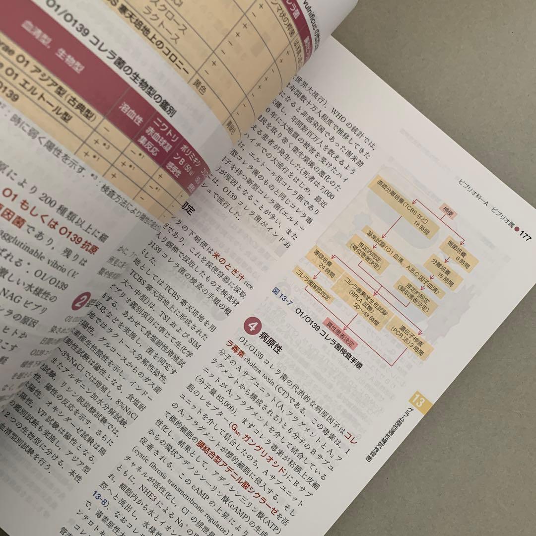 標準微生物学　第15版　錫谷達夫　松本哲哉　医学書院
