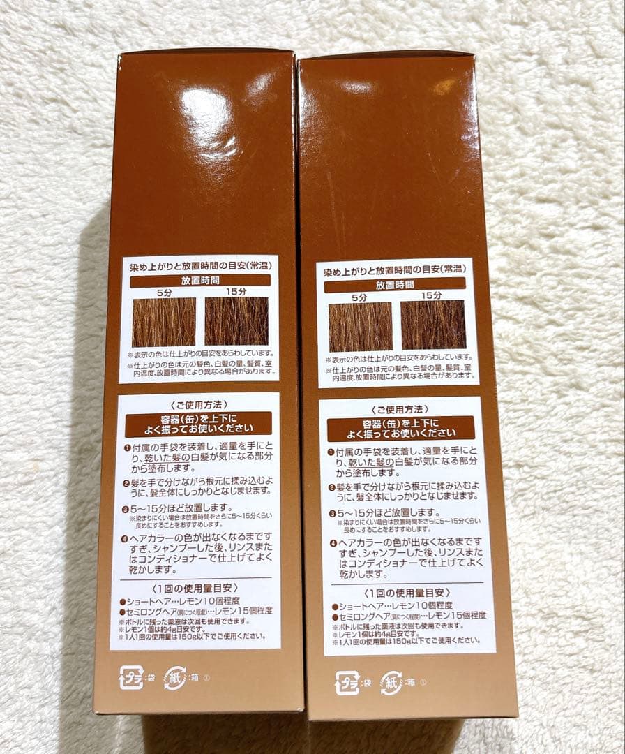 ヘアボーテ　エクラ　ボタニカル　エアカラーフォーム　ライトブラウン　2本セット