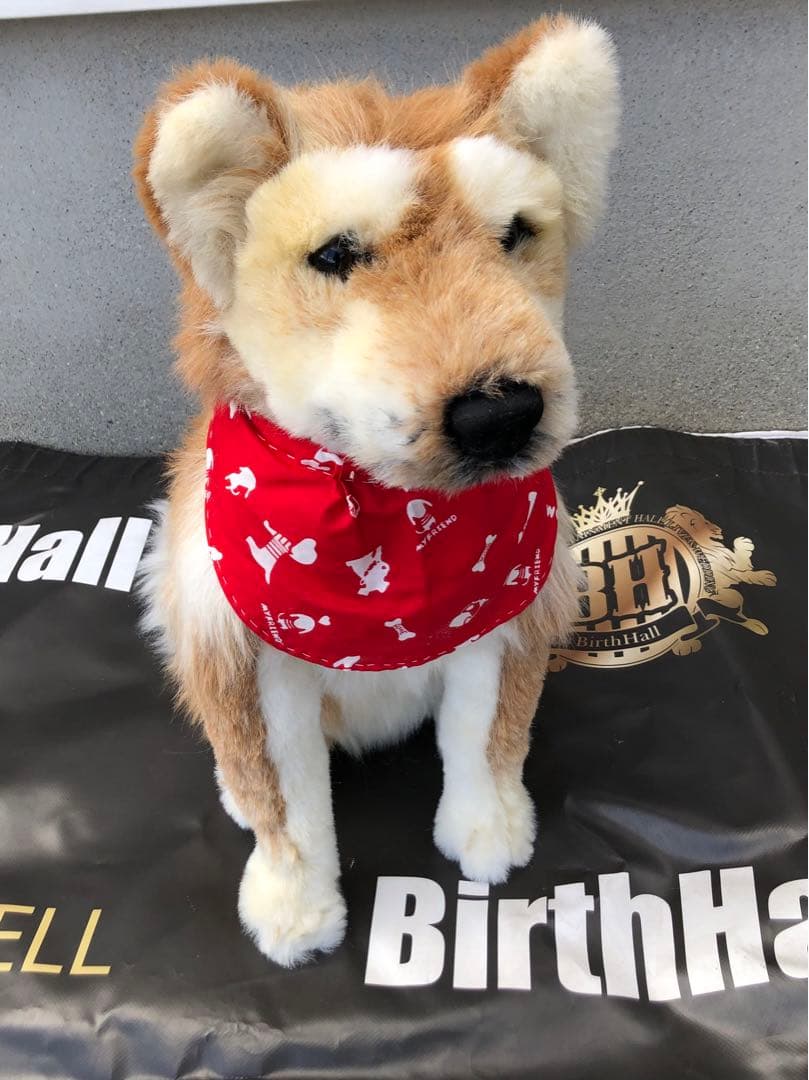 リアルな等身大のぬいぐるみ犬
