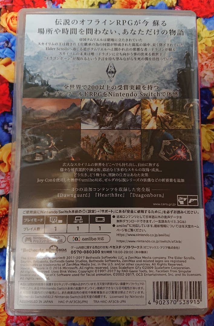 Skyrim Switch版