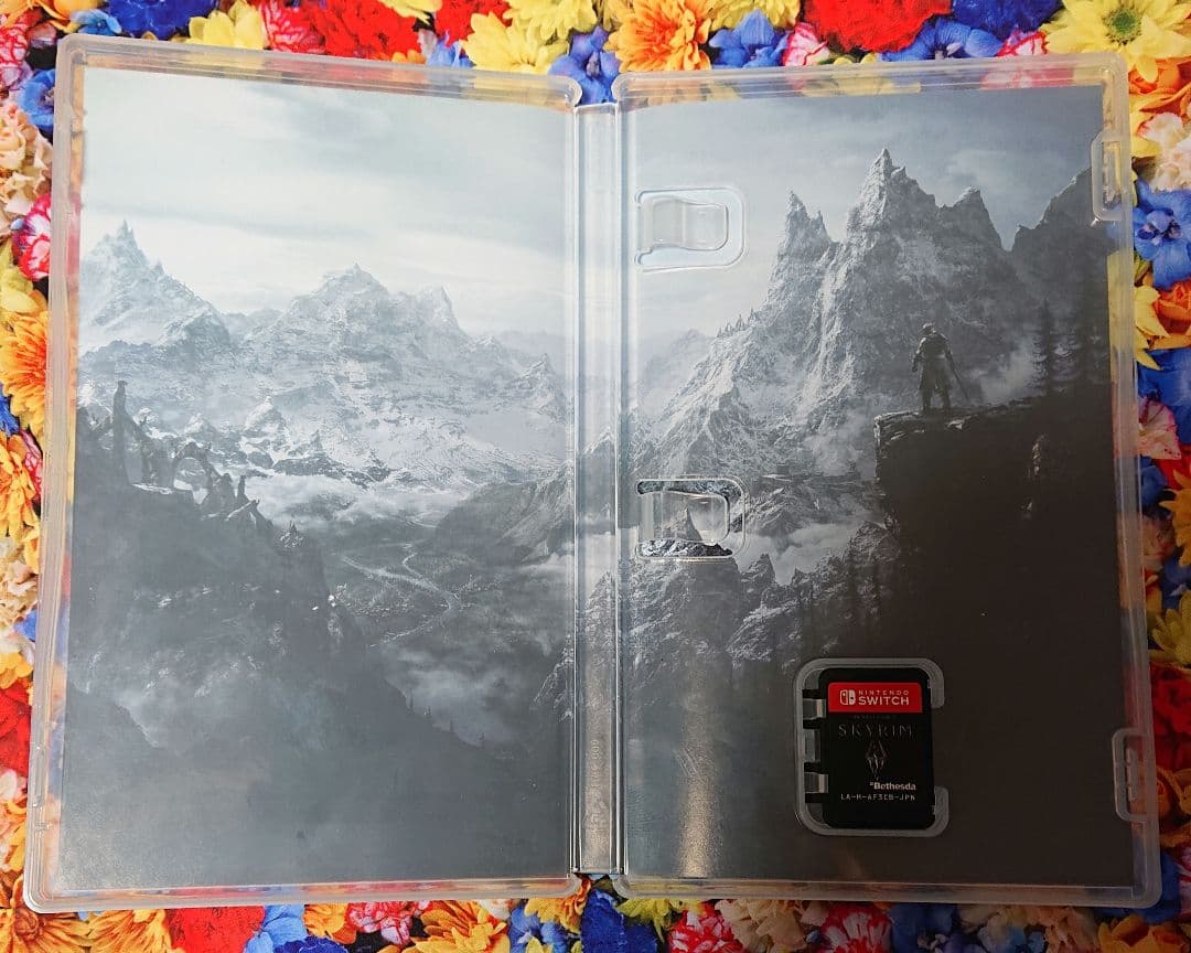 Skyrim Switch版