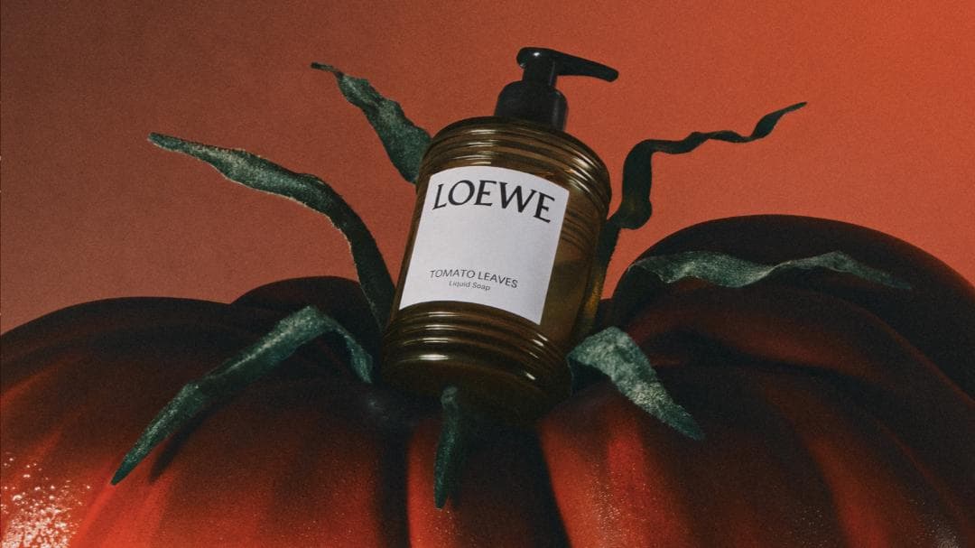 LOEWE ハンドソープ Tomato Leaves リキッドソープ