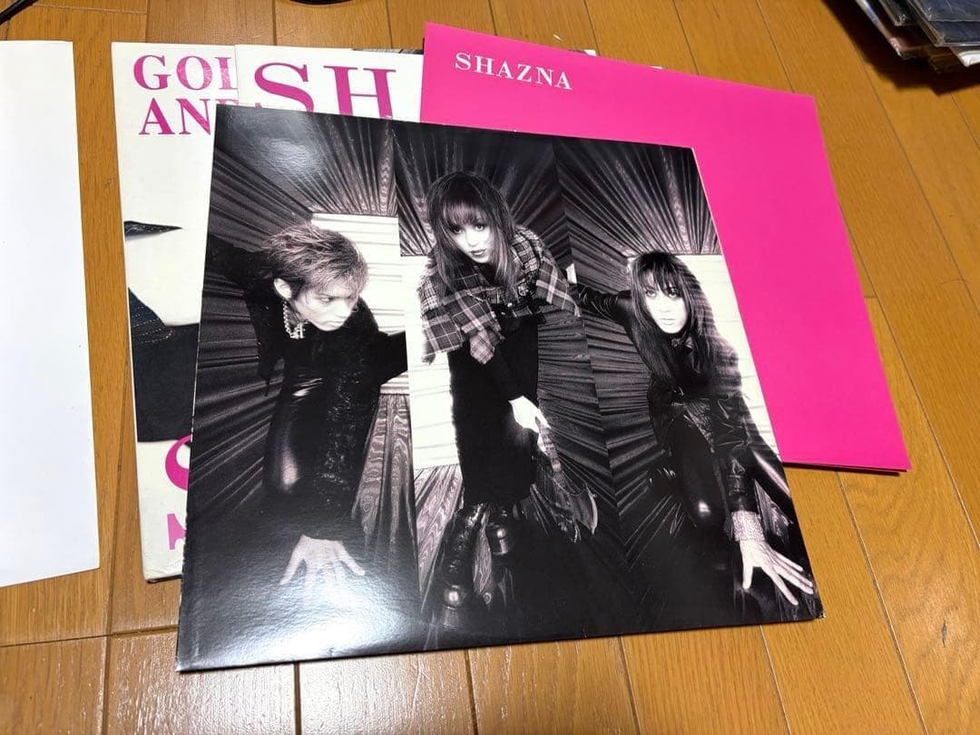 SHAZNA GOLD SUN AND SILVER MOON ピクチャーレコー