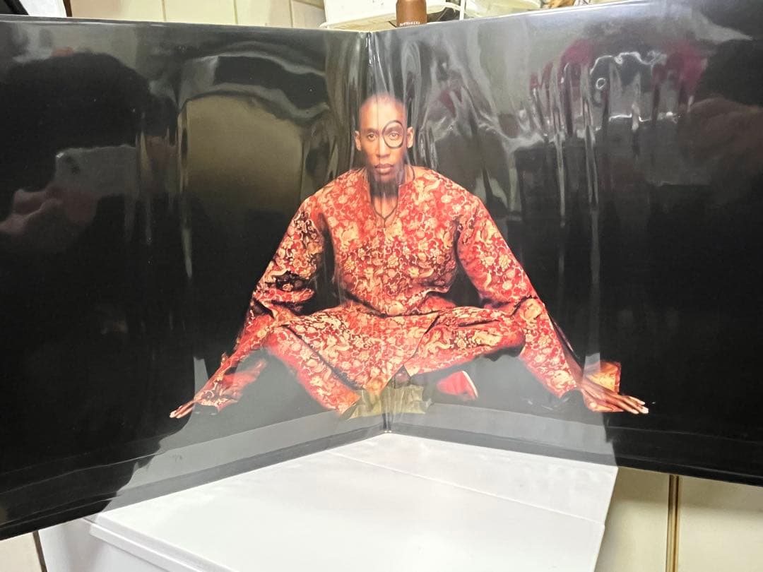 Raphael Saadiq / Instant Vintage US原盤