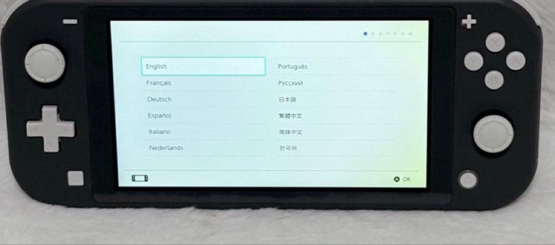 【外観極美品】任天堂: Switch Lite グレー HDH-001